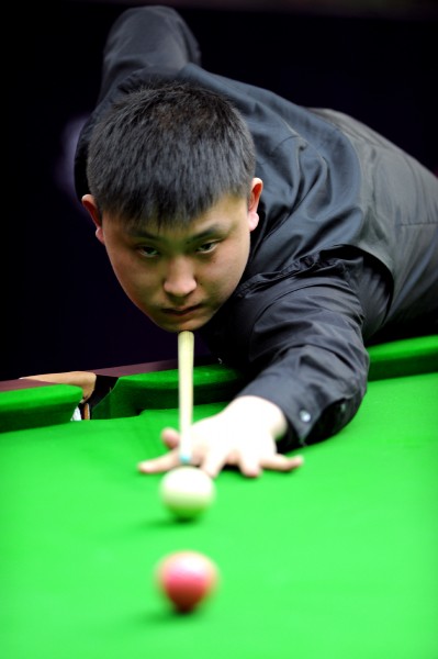 来引进伊布 来引进伊布