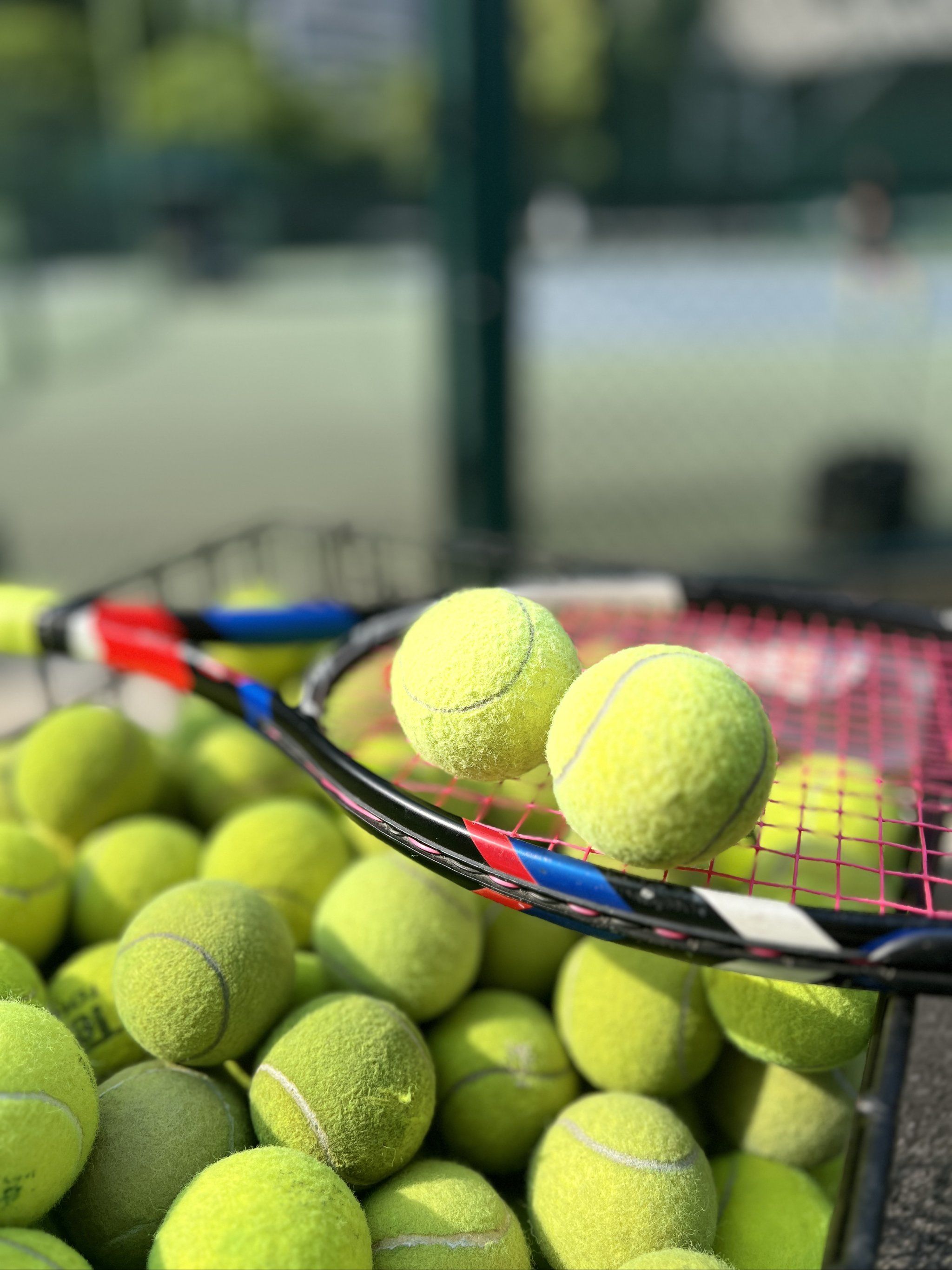 往往能在劣 往往能在劣